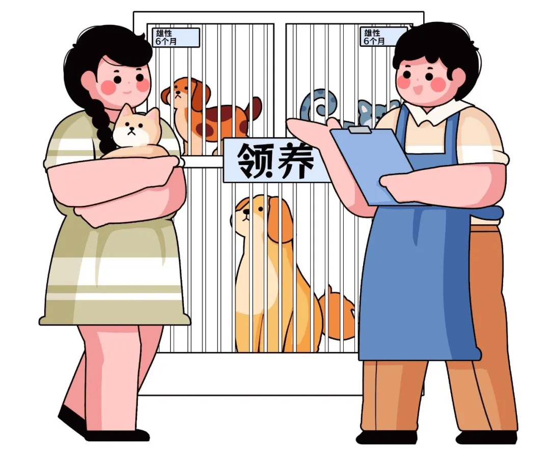 宠物领养